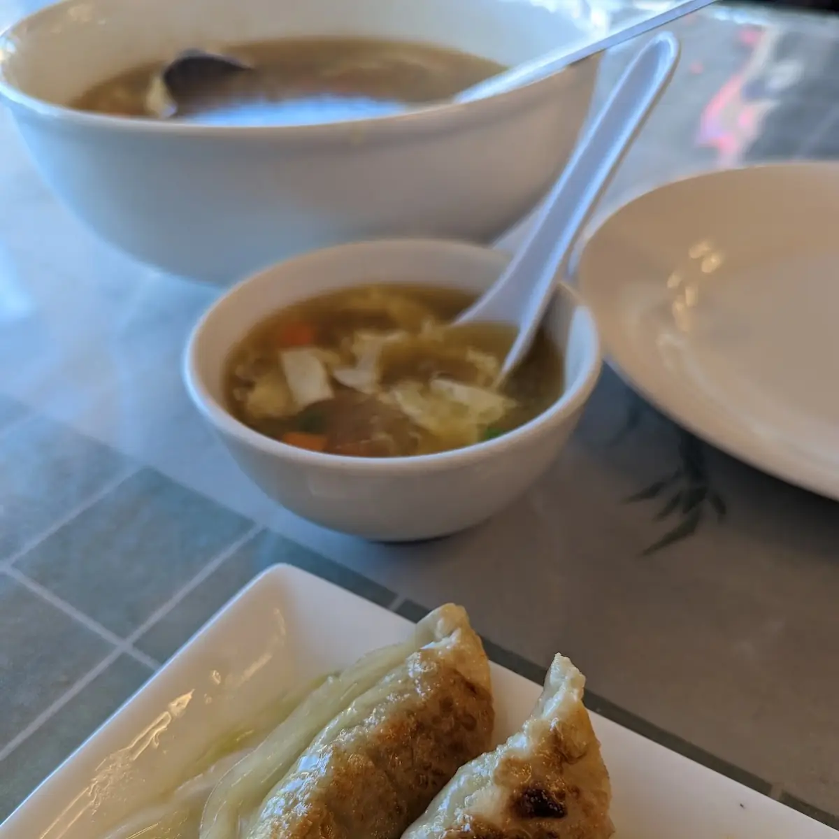 Fried Dumplings 鍋貼
